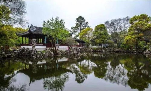 漫游江南古韻——2020蘇州經(jīng)典景點(diǎn)之旅 留園、拙政園、同里古鎮(zhèn)、啟園與沙家浜